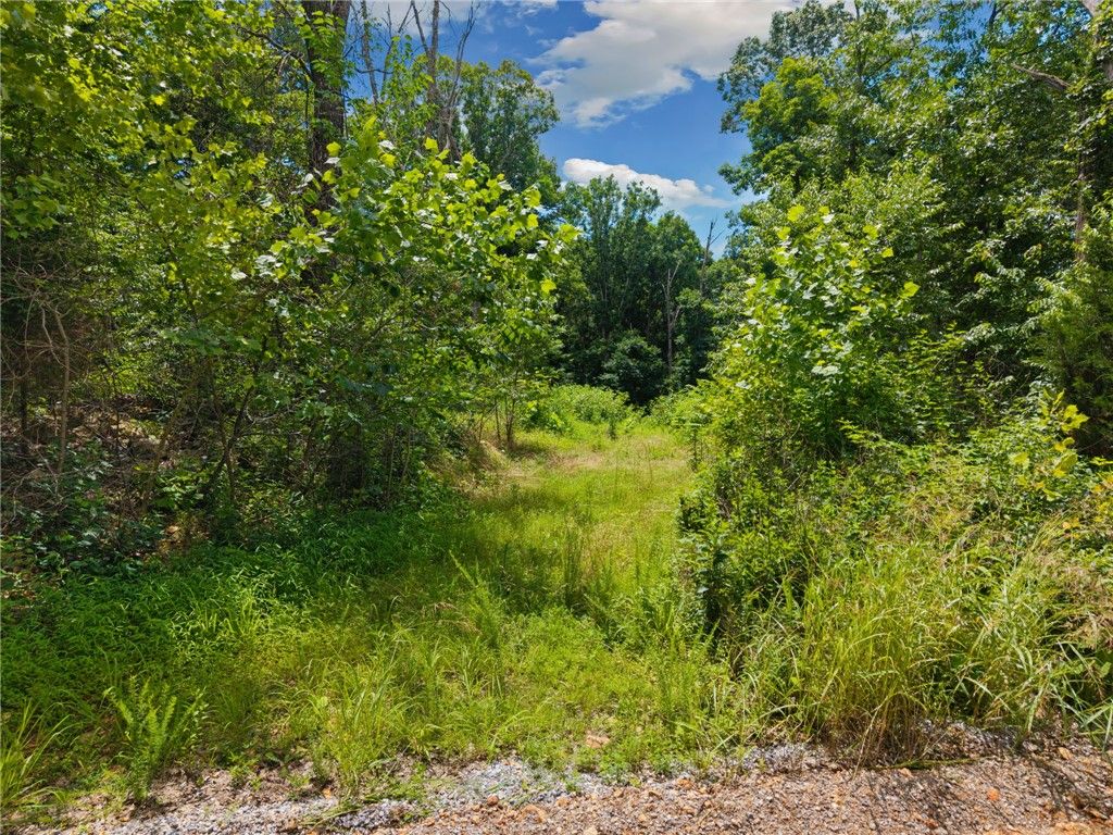 TBD Hodge Lane, Gravette, AR 72736