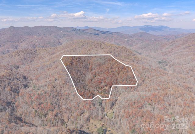 44 Alfalfa Trail, Fairview, NC 28730