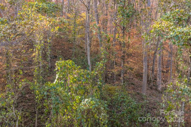 44 Alfalfa Trail, Fairview, NC 28730