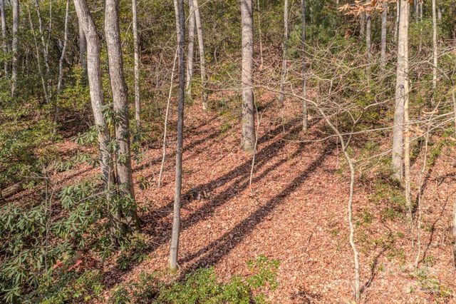 44 Alfalfa Trail, Fairview, NC 28730