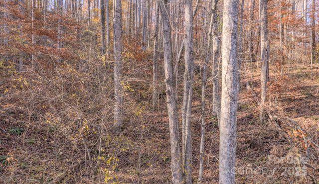 44 Alfalfa Trail, Fairview, NC 28730