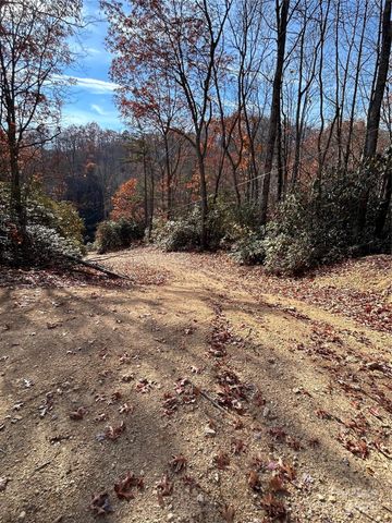 44 Alfalfa Trail, Fairview, NC 28730