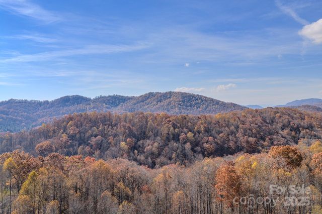 44 Alfalfa Trail, Fairview, NC 28730