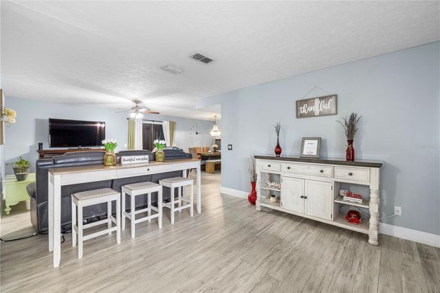 1005 MOOK STREET, Brandon, FL 33510