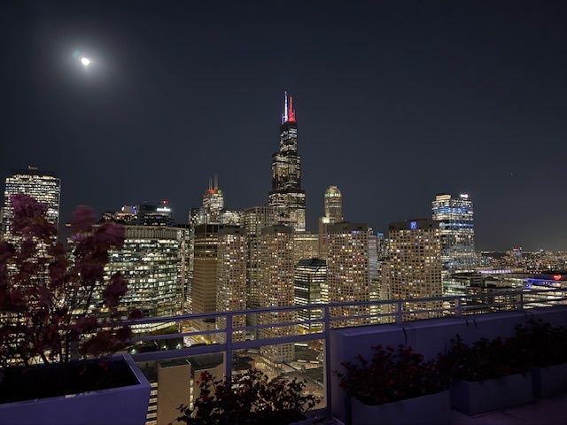 737 W Washington Boulevard 1209, Chicago, IL 60661