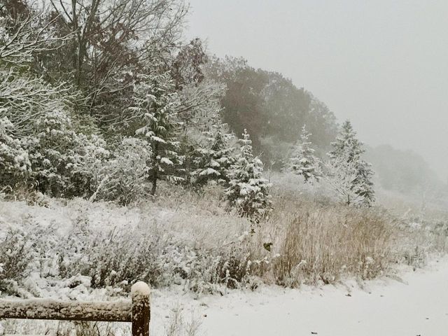 15330 Huff WAY, Brookfield, WI 53005