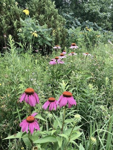 15330 Huff WAY, Brookfield, WI 53005