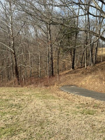 Lot 95 Lakeshore Drive, Russell Springs, KY 42642