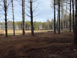 Lot 95 Lakeshore Drive, Russell Springs, KY 42642