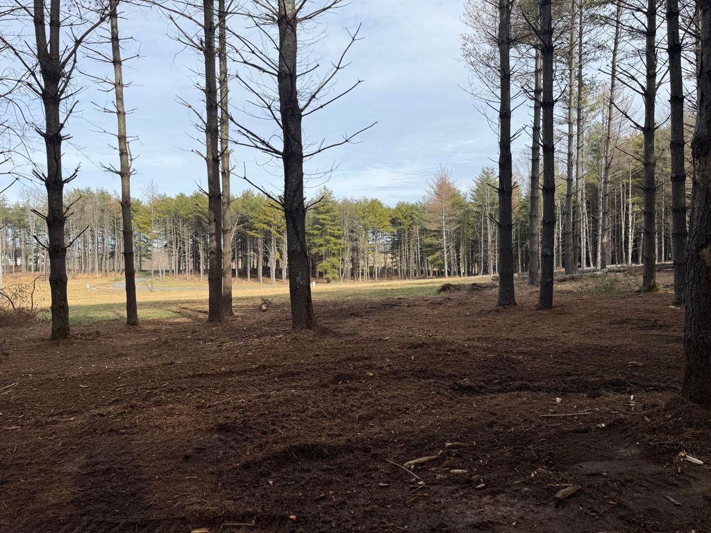 Lot 95 Lakeshore Drive, Russell Springs, KY 42642