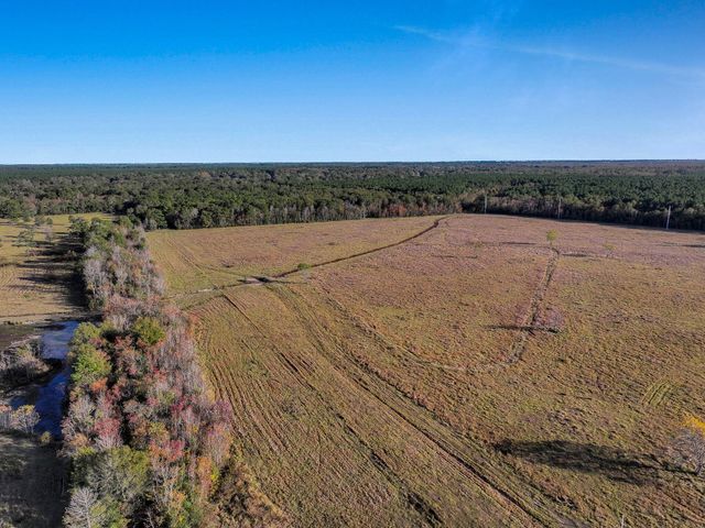 TBD County Road 2058, Hull, TX 77564