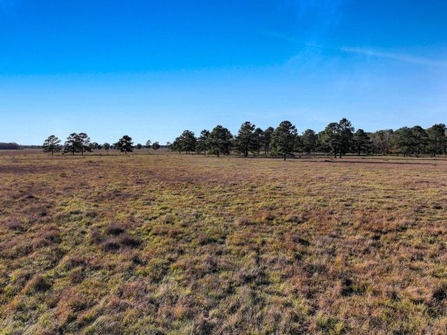 TBD County Road 2058, Hull, TX 77564