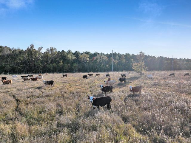 TBD County Road 2058, Hull, TX 77564