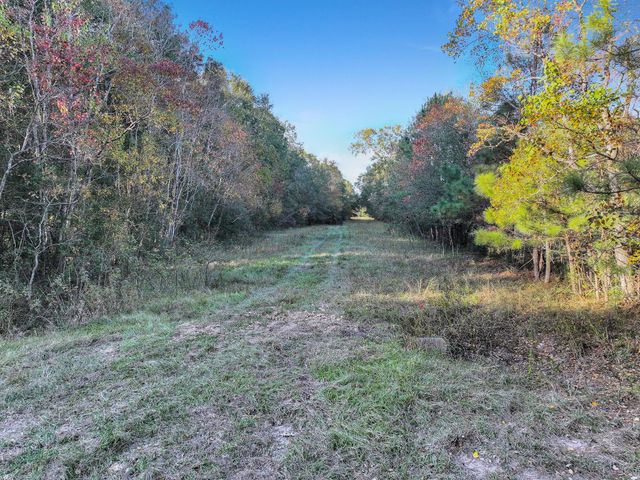 TBD County Road 2058, Hull, TX 77564