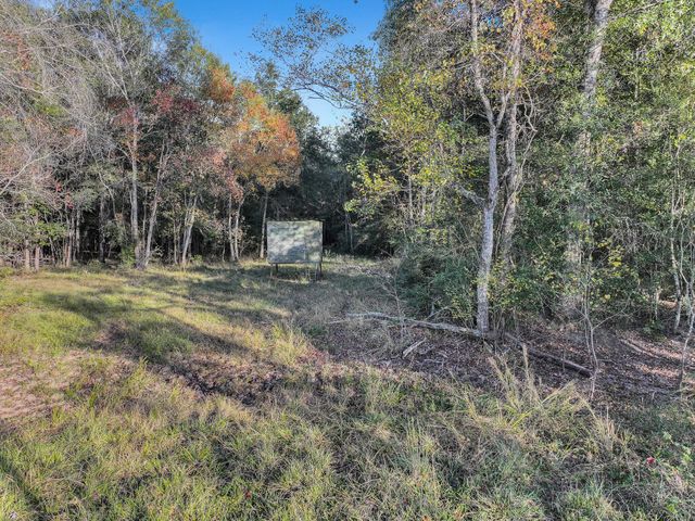 TBD County Road 2058, Hull, TX 77564