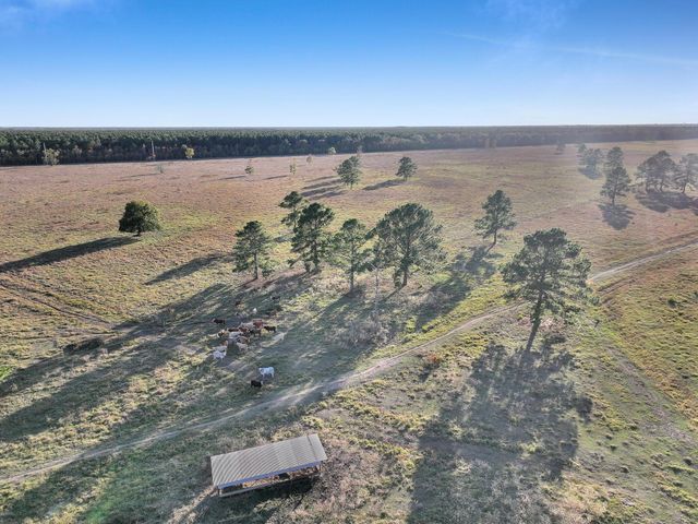 TBD County Road 2058, Hull, TX 77564