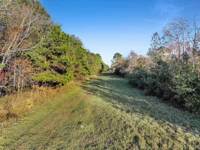 TBD County Road 2058, Hull, TX 77564