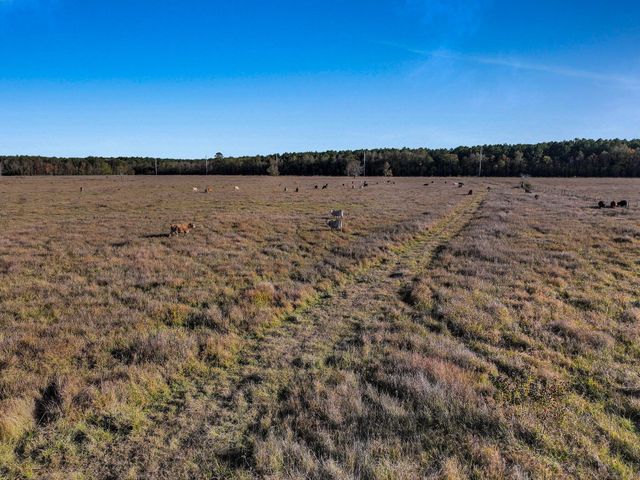 TBD County Road 2058, Hull, TX 77564
