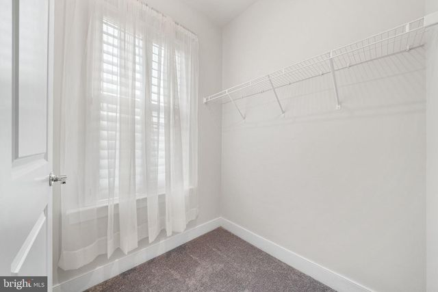 17763 WHITE CAMPION WAY, Dumfries, VA 22026