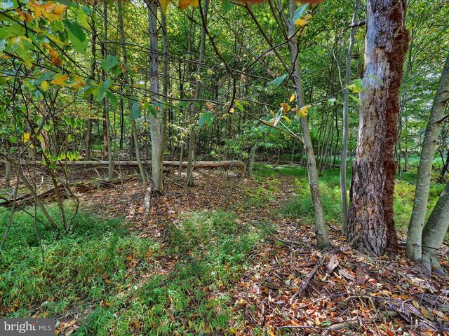 11 FIR RD, Pottsville, PA 17901