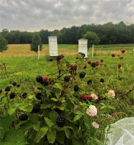 19418 S Sherwood Road, Pleasant Hill, MO 64080