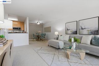 39843 Cedar Blvd 219, Newark, CA 94560