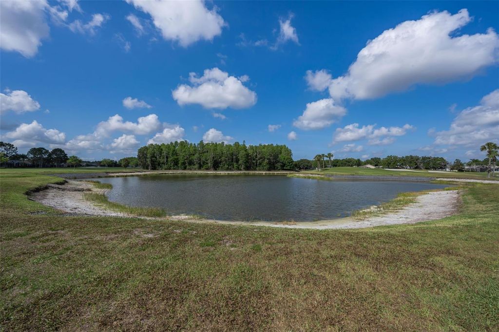 Image 45 of property listing at 1520 WINDING WILLOW DRIVE, Trinity, FL 34655