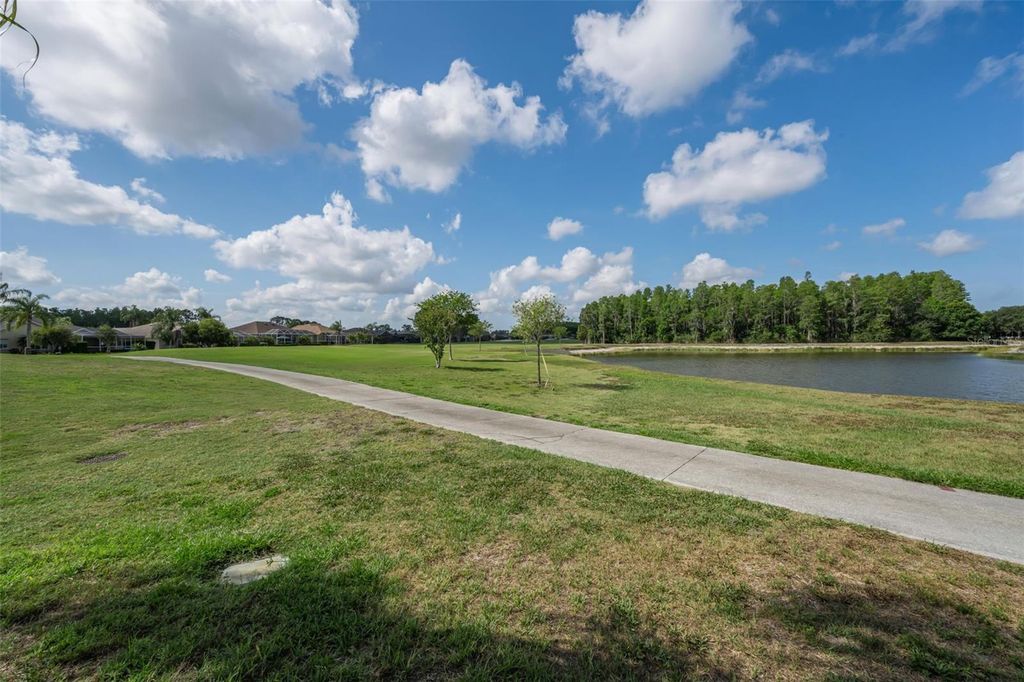 Image 46 of property listing at 1520 WINDING WILLOW DRIVE, Trinity, FL 34655