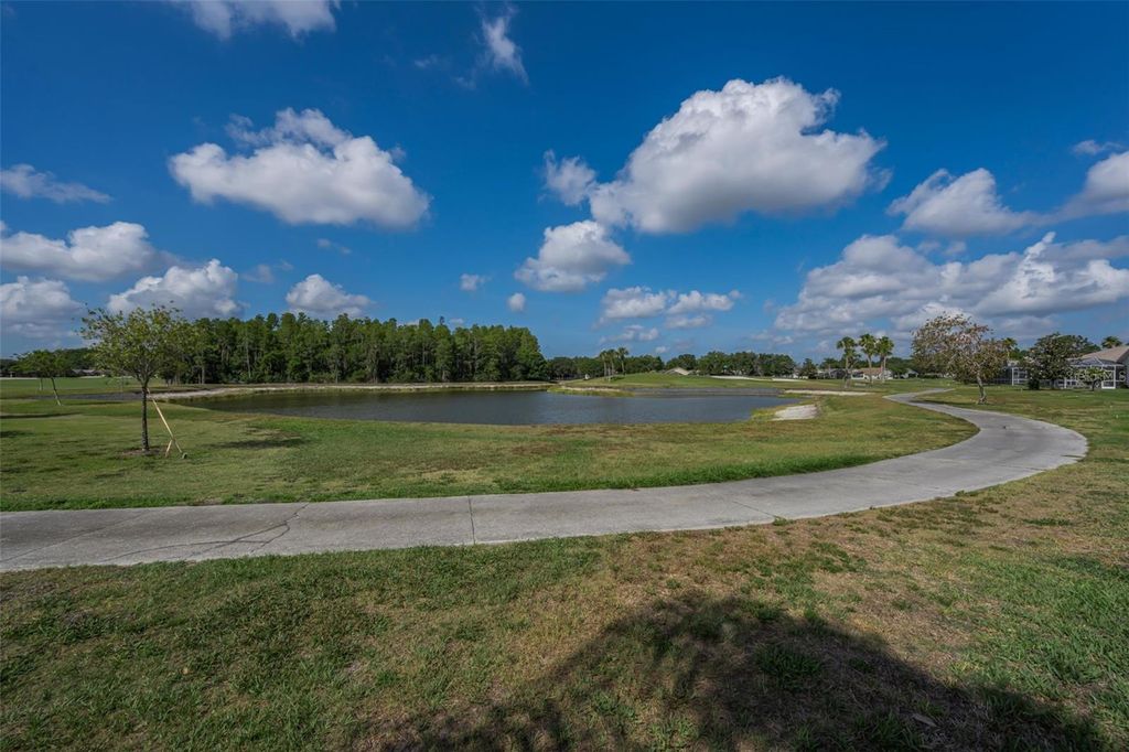 Image 47 of property listing at 1520 WINDING WILLOW DRIVE, Trinity, FL 34655