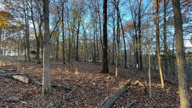 1471 Birchbark Drive, Kansas, OK 74347