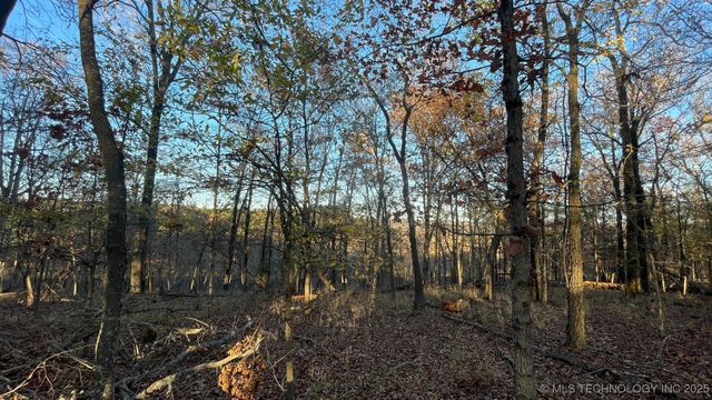 1471 Birchbark Drive, Kansas, OK 74347