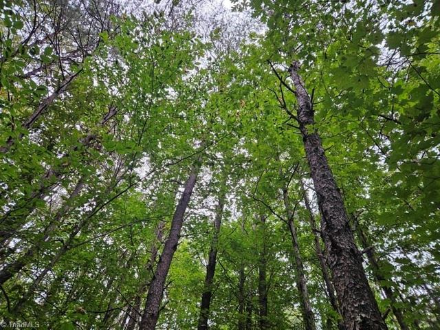 Lot 1 Doll Branch Road, Milton, NC 27305