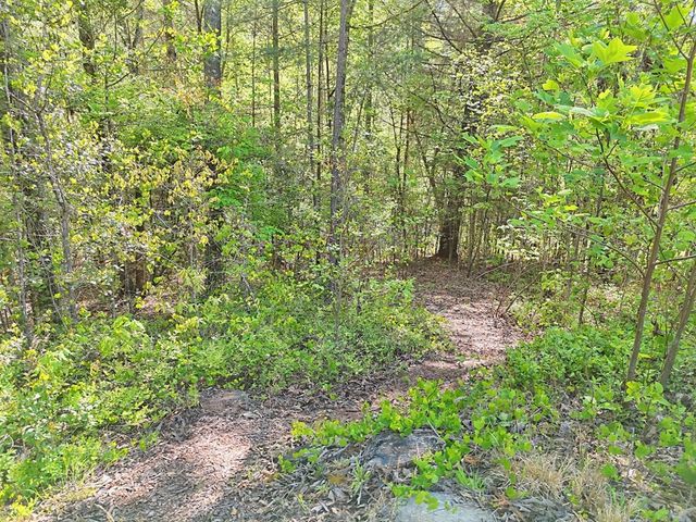 71 Leisure Time Lane, Murphy, NC 28906