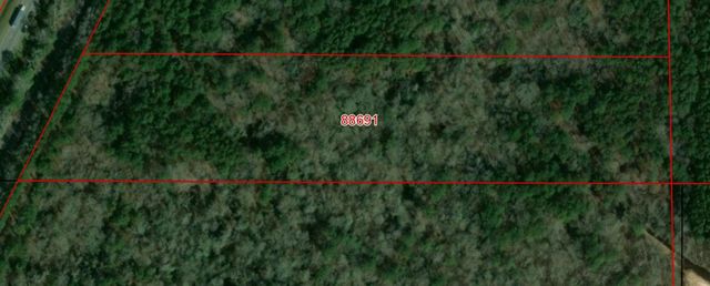 TBD Hwy Us 59, Shepherd, TX 77371