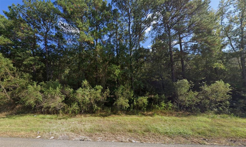 TBD Hwy Us 59, Shepherd, TX 77371
