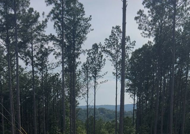 Lot 103 Blalock Mountain Road, Ellijay, GA 30540