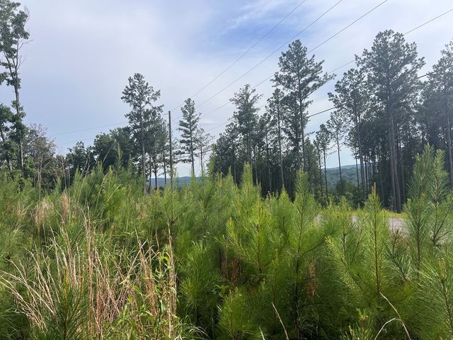 Lot 103 Blalock Mountain Road, Ellijay, GA 30540