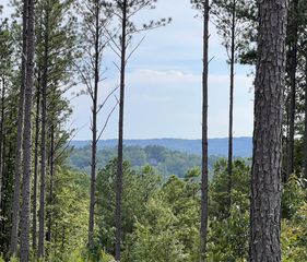 Lot 103 Blalock Mountain Road, Ellijay, GA 30540