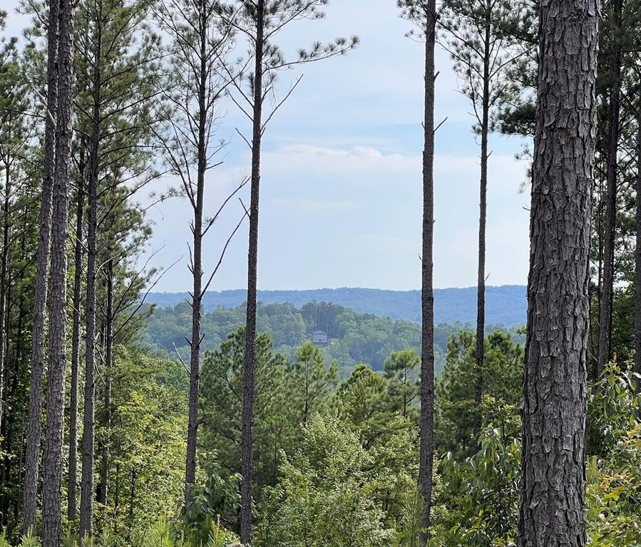 Lot 103 Blalock Mountain Road, Ellijay, GA 30540