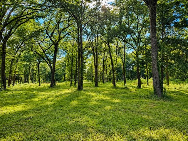 TBD County Road 1503, Point, TX 75472