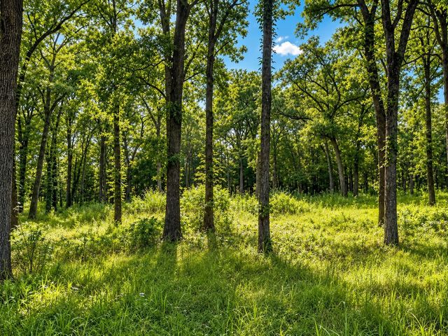 TBD County Road 1503, Point, TX 75472