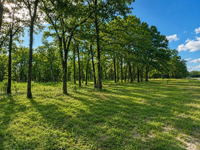 TBD County Road 1503, Point, TX 75472