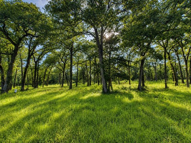 TBD County Road 1503, Point, TX 75472