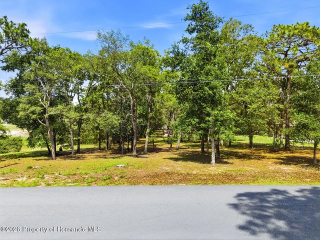 0 Staten Avenue, Spring Hill, FL 34609