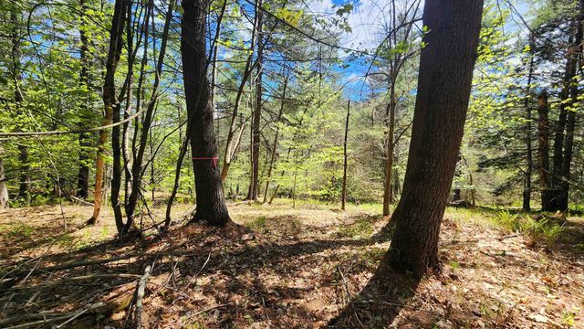 0 Linden Way, Chester, VT 05143