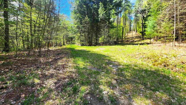 0 Linden Way, Chester, VT 05143