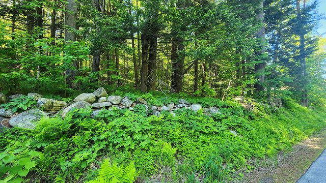 0 Linden Way, Chester, VT 05143