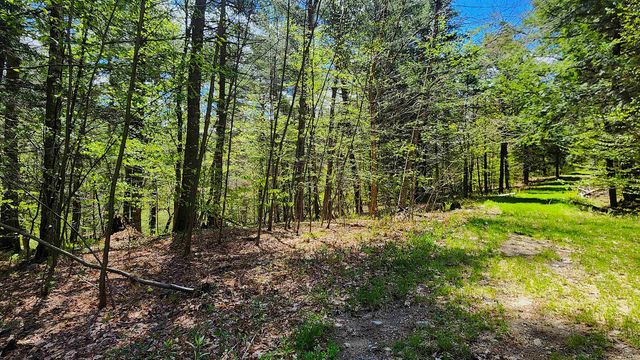 0 Linden Way, Chester, VT 05143