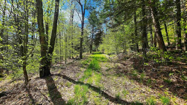 0 Linden Way, Chester, VT 05143