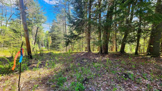 0 Linden Way, Chester, VT 05143
